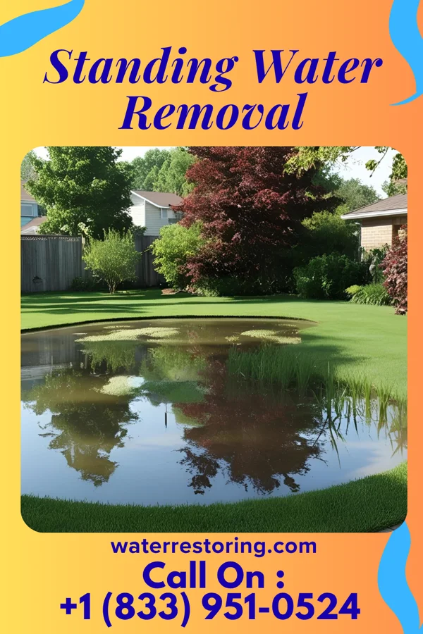 Standing Water Removal in Minburn, IA
